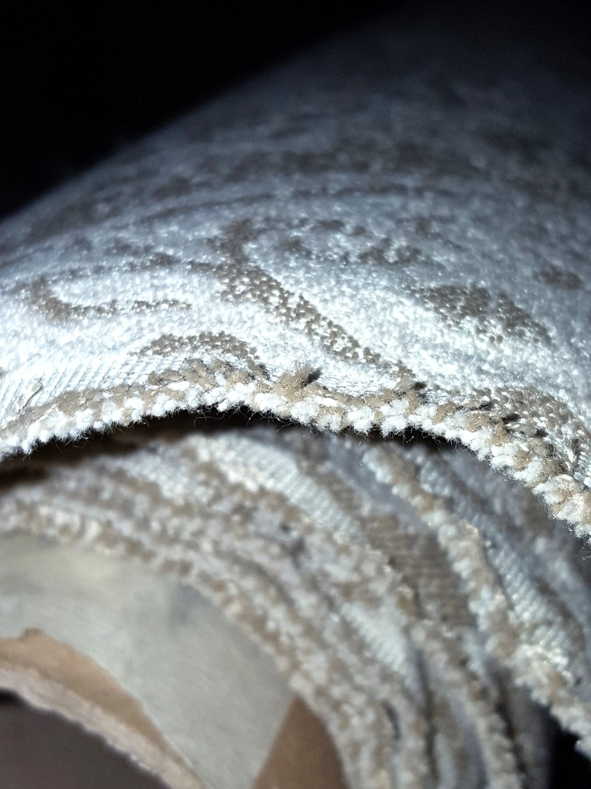 Parchment