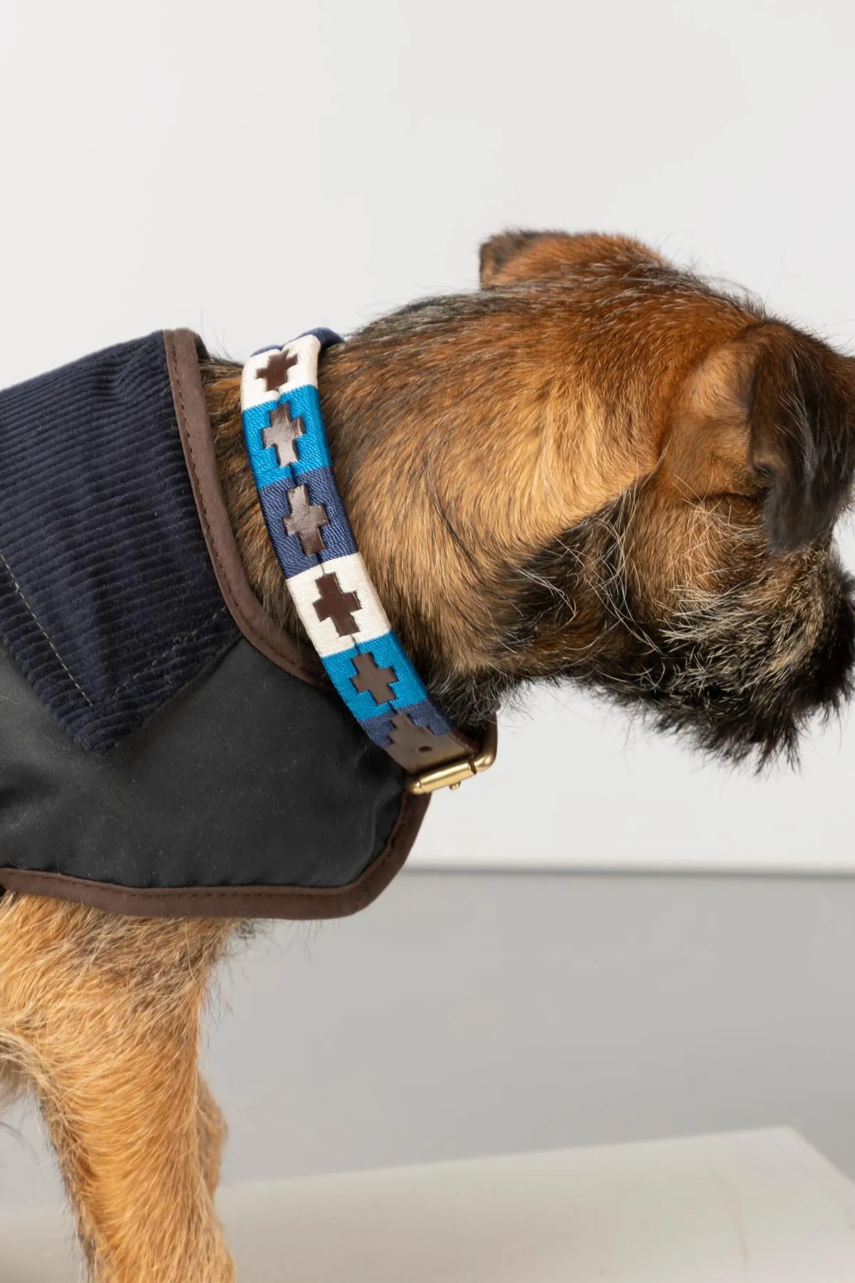 Polo Belt Dog Collar