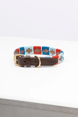 Polo Belt Dog Collar