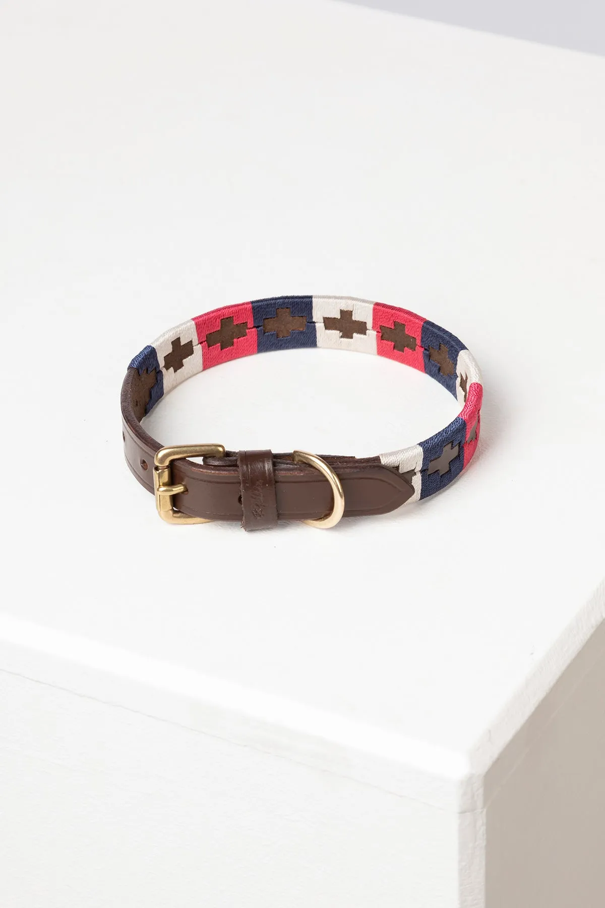 Polo Belt Dog Collar
