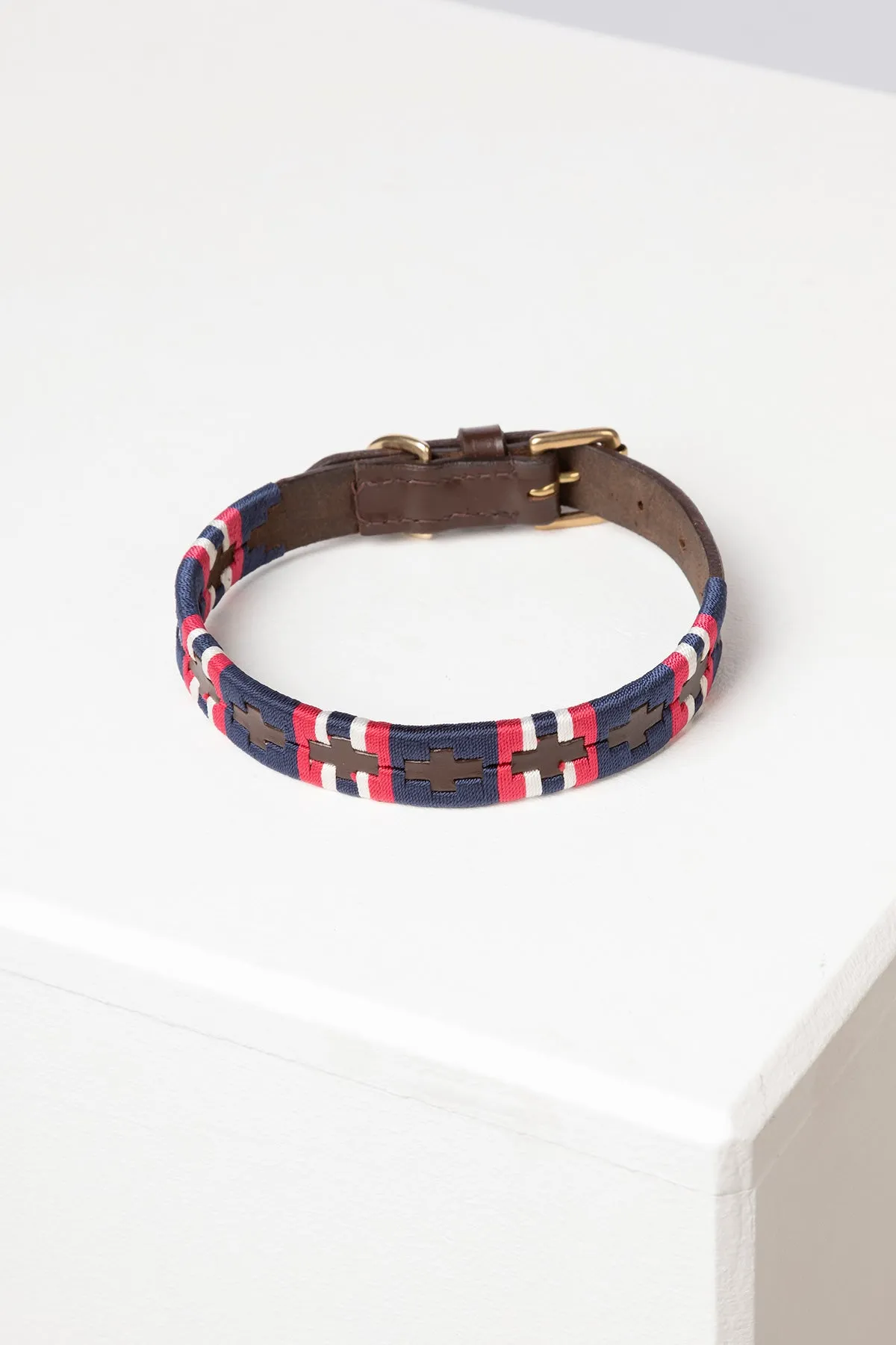 Polo Belt Dog Collar