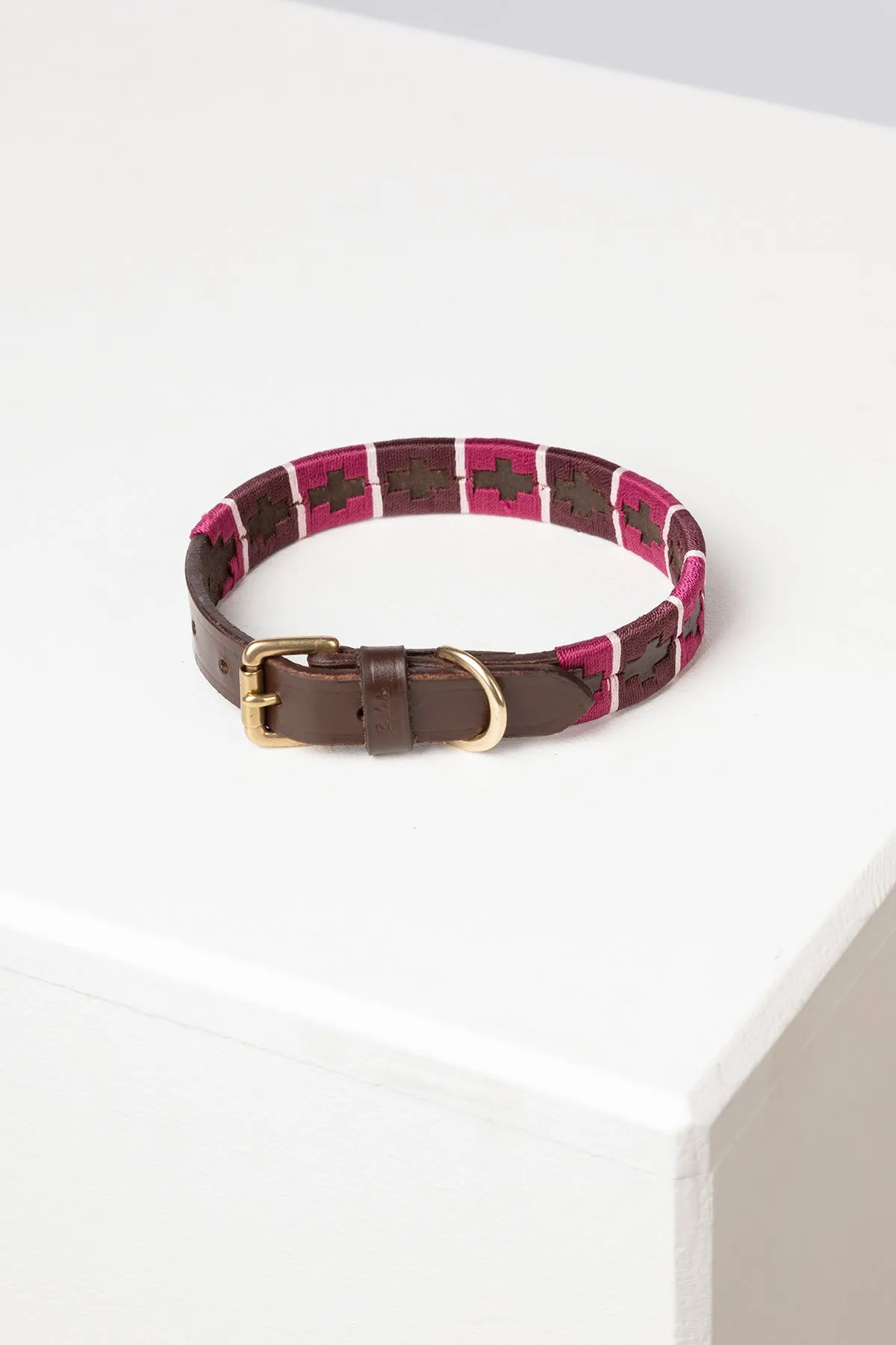 Polo Belt Dog Collar