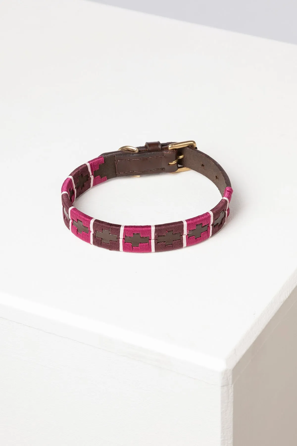 Polo Belt Dog Collar