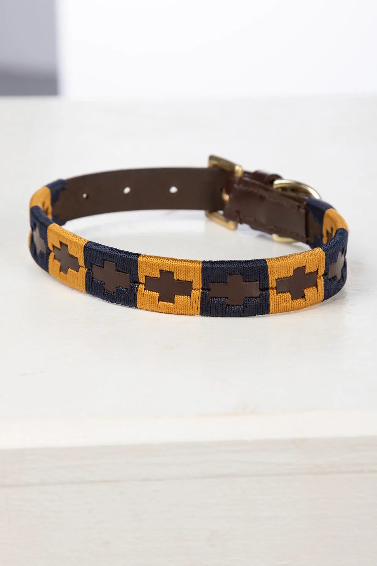 Polo Belt Dog Collar